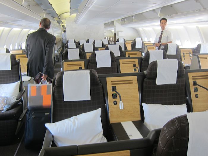 swiss airlines dog in cabin