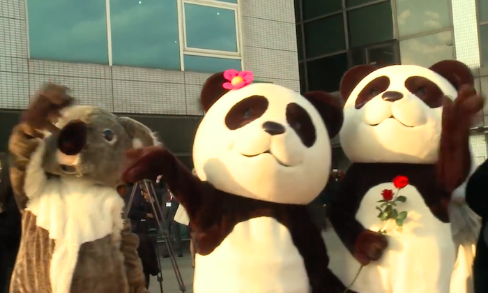 Eva Air Retirement