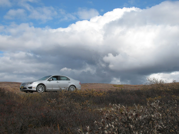 Our safari-mobile.