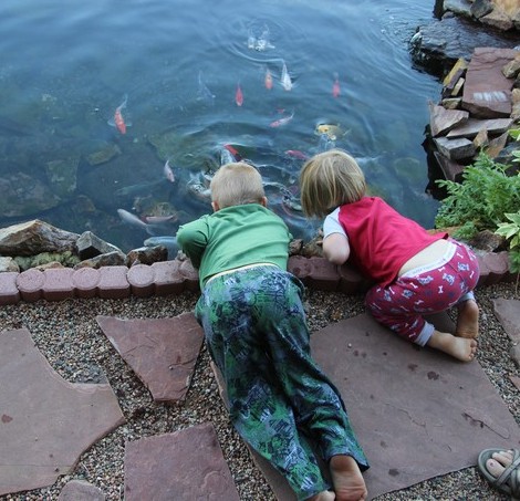 Fish pond in front of the entrance