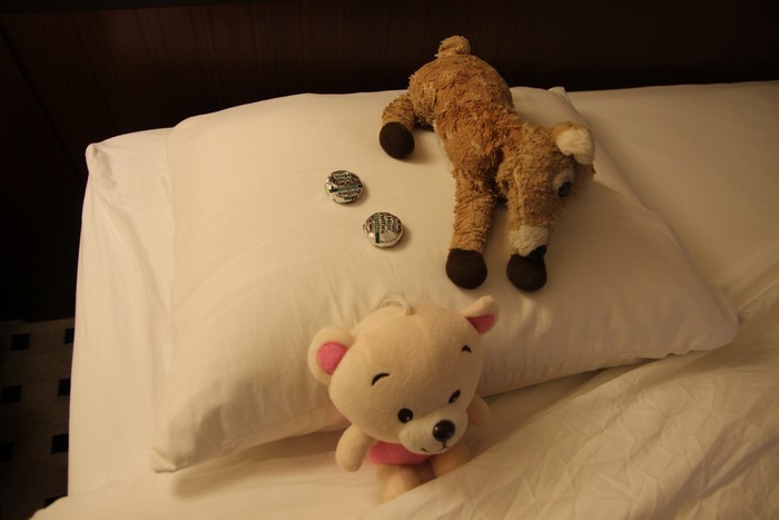 Turn-down service included chocolates for deer and zig-zag. Not sure why Tigey stayed at home on this trip.