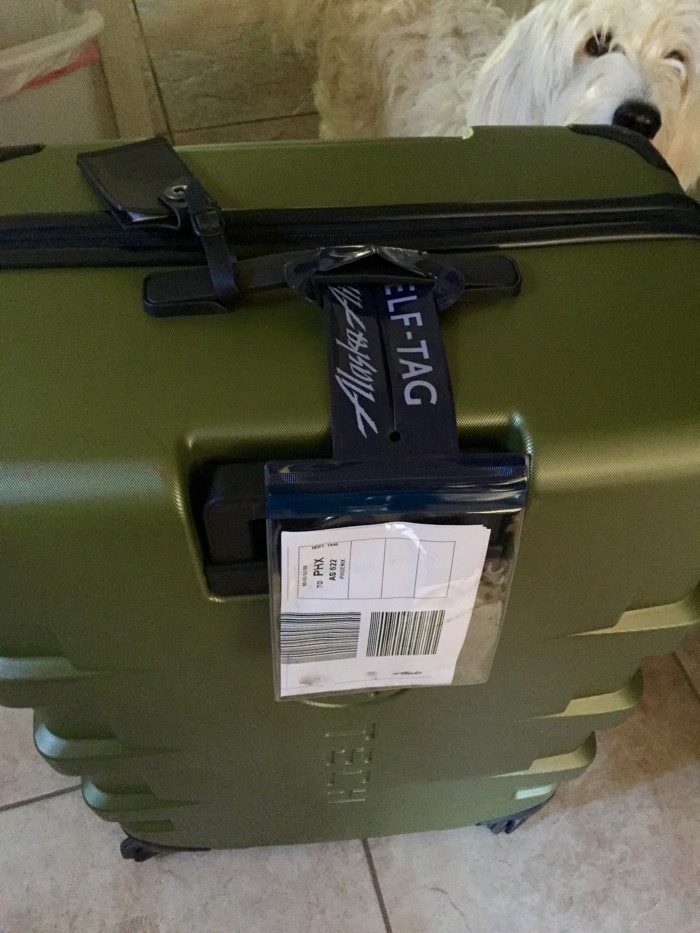 alaska baggage