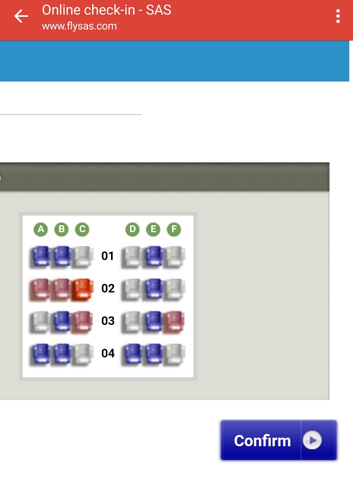 sas checked baggage allowance