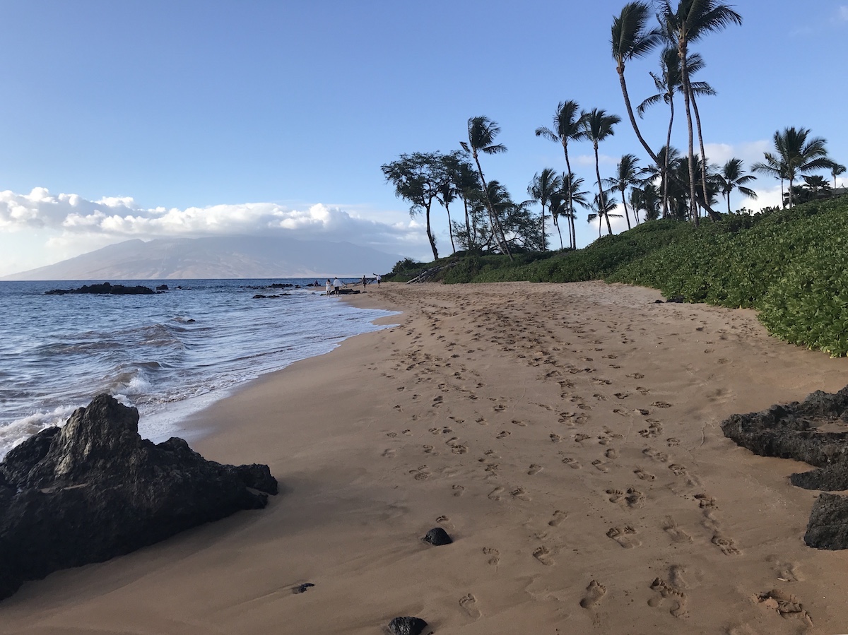 hawaii tourist ban