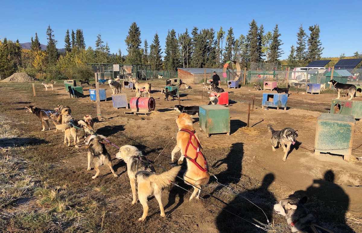 Impressions Of Whitehorse, Yukon One Mile at a Time