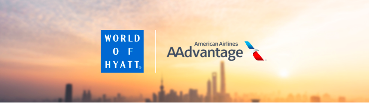 How To Request An American Aadvantage Status Challenge 2021 One Mile At A Time