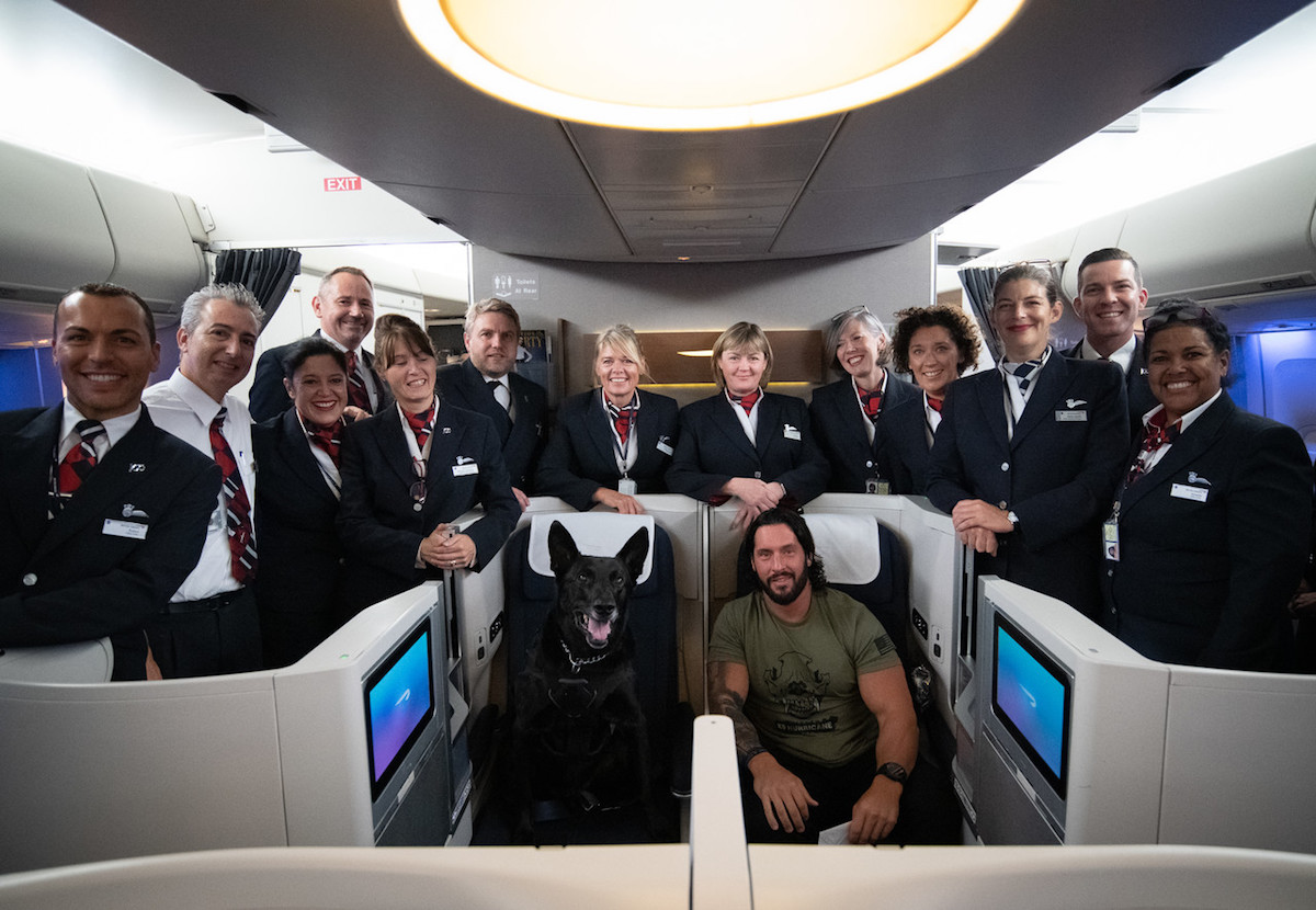 british airways pets in cabin