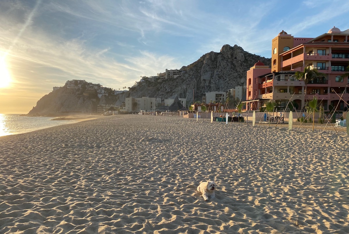 Review: Waldorf Astoria Los Cabos Pedregal | One Mile at a Time